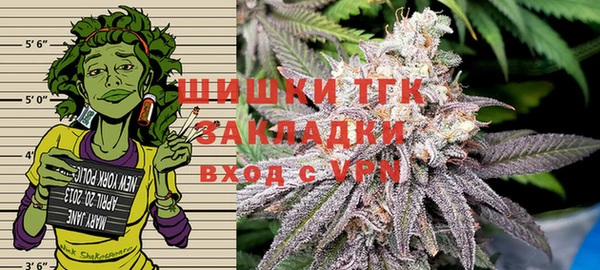 винт Богданович